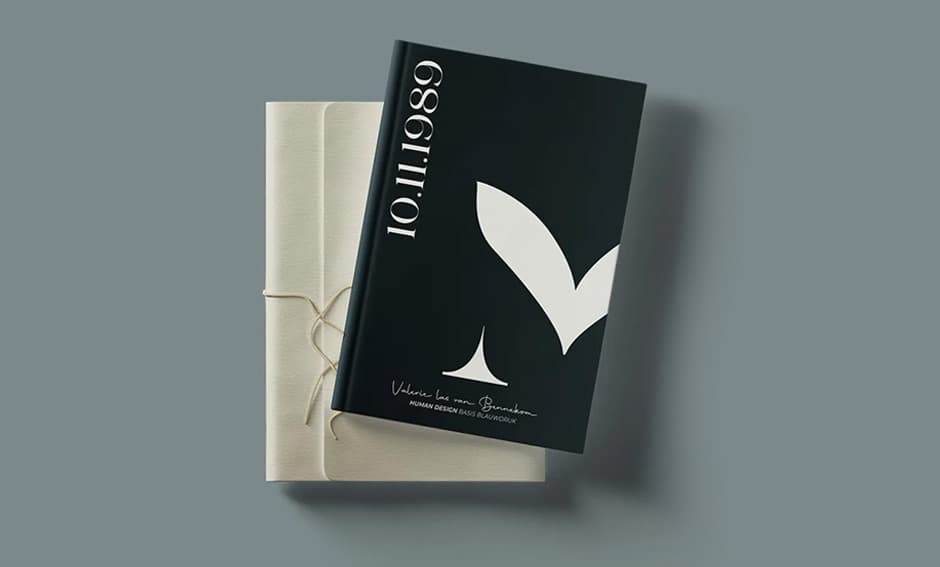 Mariposa 02 - Image 4